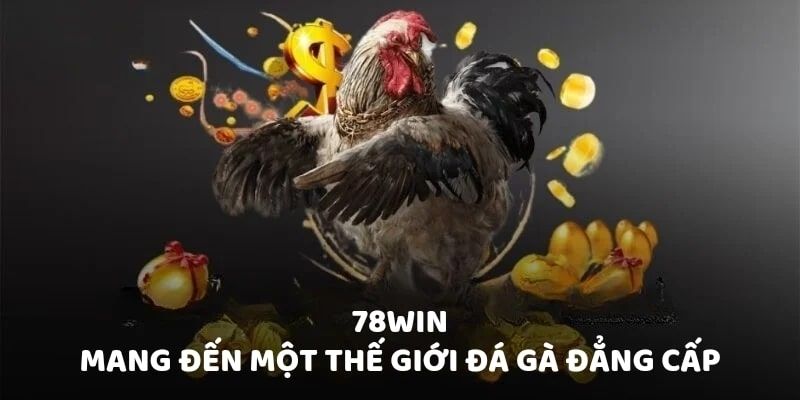 Sảnh cược đá gà 78win mang lại nhiều trận đấu hấp dẫn